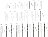 Bosch Professional 25pc HSS-G ProBox Drill Bit Set DIN 338 Ø 1–13 mm view 3
