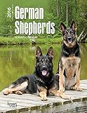 German Shepherds - 2016 Engagement Calendar Planner 7 x 8in