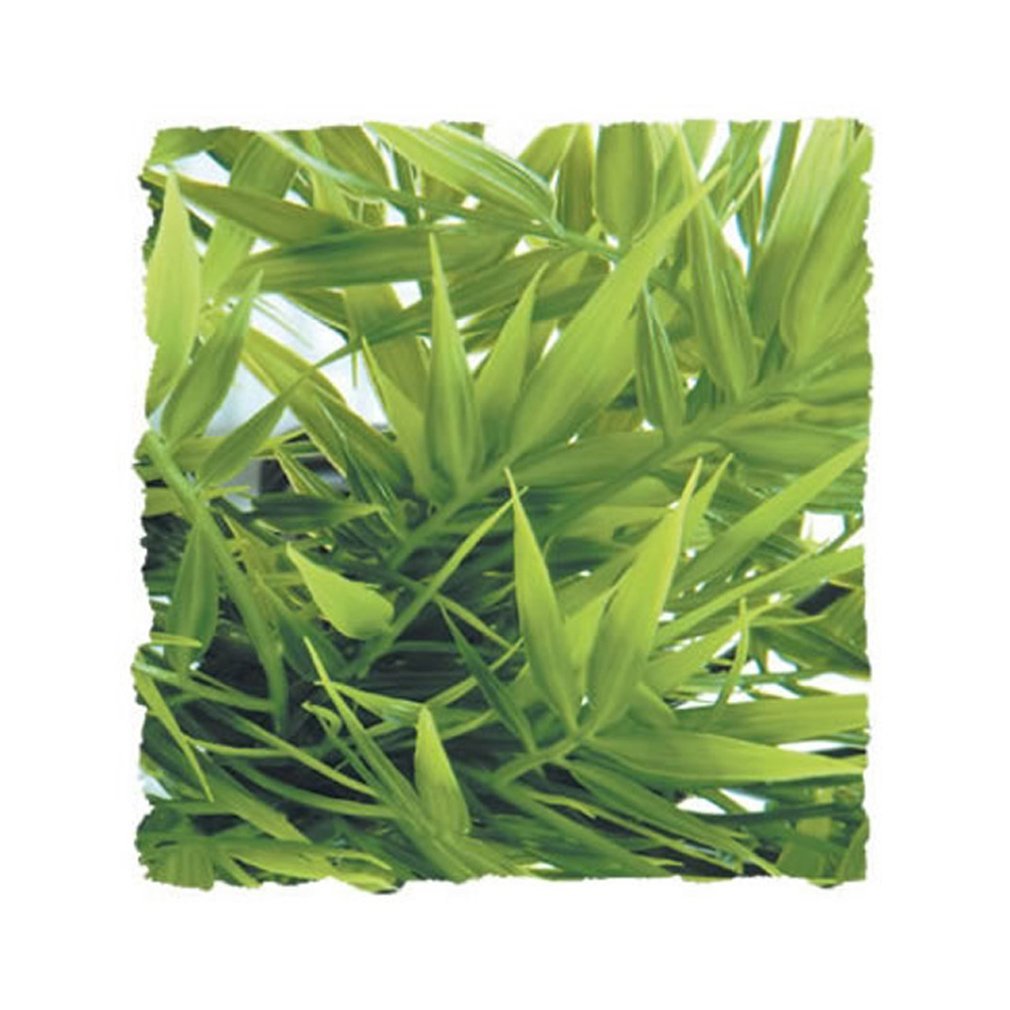 zoomed Zoo Med BU-29 Madagascar Bamboo, Medium