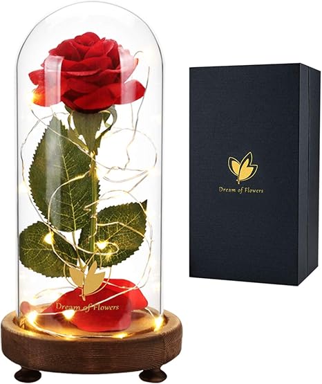 Amazon Com Beauty And The Beast Rose Kit Red Silk Rose Lasts Forever In A Glass Dome With Led Lights Romantic Gifts For Her Girlfriend Gifts Gift For Women Mothers Day Valentine S Day Amazon Com Beauty And The Beast Rose Kit Red Silk Rose Lasts Forever In A Glass Dome With Led Lights Romantic Gifts For Her Girlfriend Gifts Gift For Women Mothers Day Valentine S Day