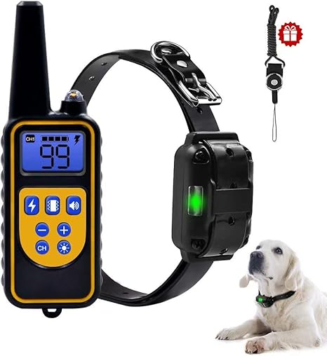 peston dog training collar customer service