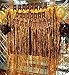 Langxun 3 ft x 8 ft Gold Foil Fringe Curtains | Photo Booth Background for Party, Prom, Birthday, Wedding, Event Decorations ( 2 Pack )