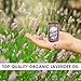 Lavender Essential Oil [Relaxing Scent] - Glass Amber Bottle with DropperOrganic Pure Therapeutic French for Diffuser, Aromatherapy, Headache, Pain, Sleep-Perfect for Candles & Massage (1-oz)