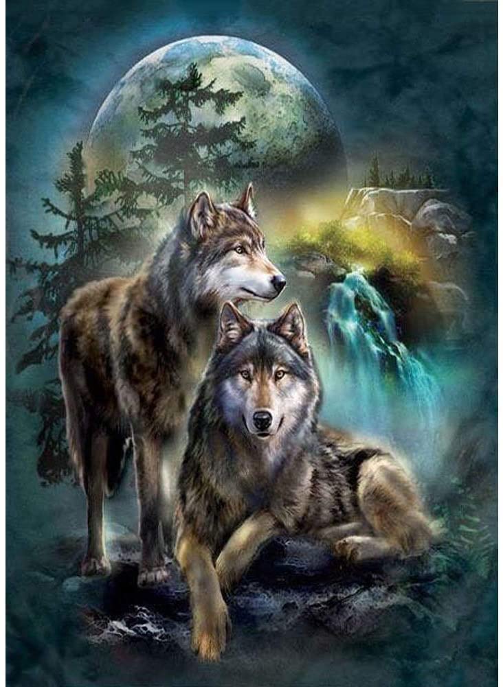 Cross Stitch Kits Stamped, OWN4B Wolf Moon Night Printed Pattern 11CT 14.2x18.1 inch DIY Embroidery Kit (Wolf)