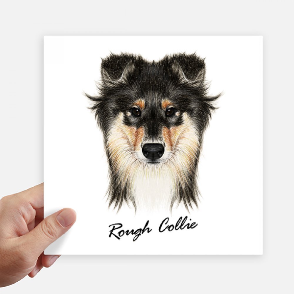 Diythinker Long Haired Rough Collie Pet Animal Square Stickers