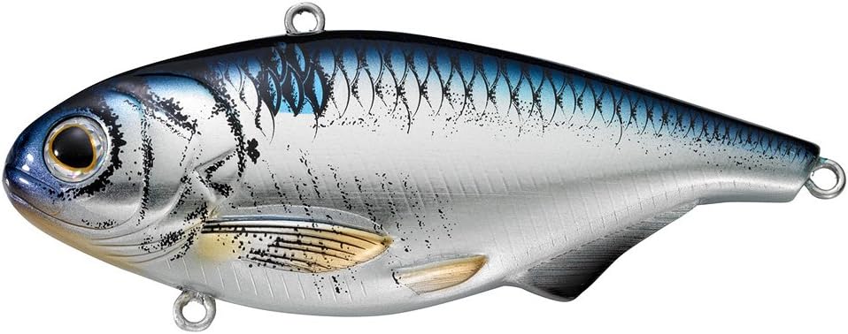 Koppers Lipless Gizzard Shad 1/2oz 2 1/2in Silver Blue