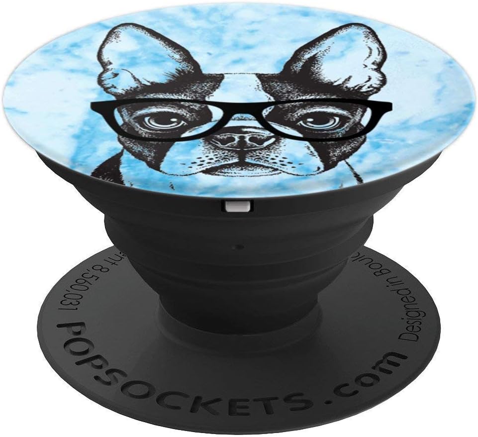 french bulldog with glasses