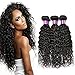 FASHION QUEEN Hair Brazilian Water Wave 3 Bundles Wet And Wavy Human Hair Brazilian Virgin Human Hair Extensions …