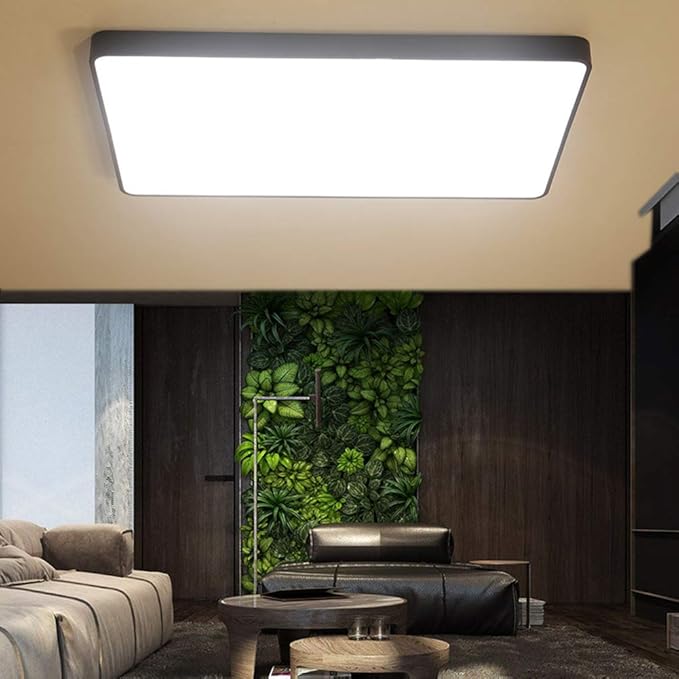 FCX-LIGHT Lámpara de Techo LED Dormitorios Luz de Techo Moderno Ultra