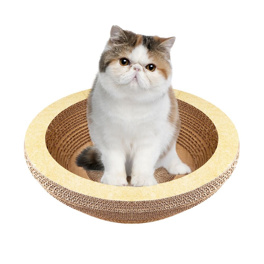 cat scratching bowl