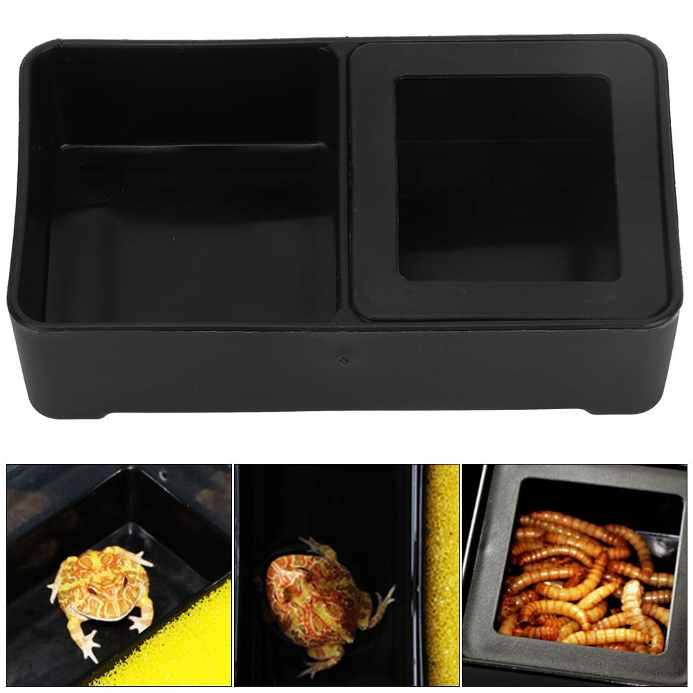 Reptile and Amphibian Feeder Dish Double Food and Water Bowl Anti-Escape for Tortoise Gecko Snakes Lizard Spider - 10Pcs