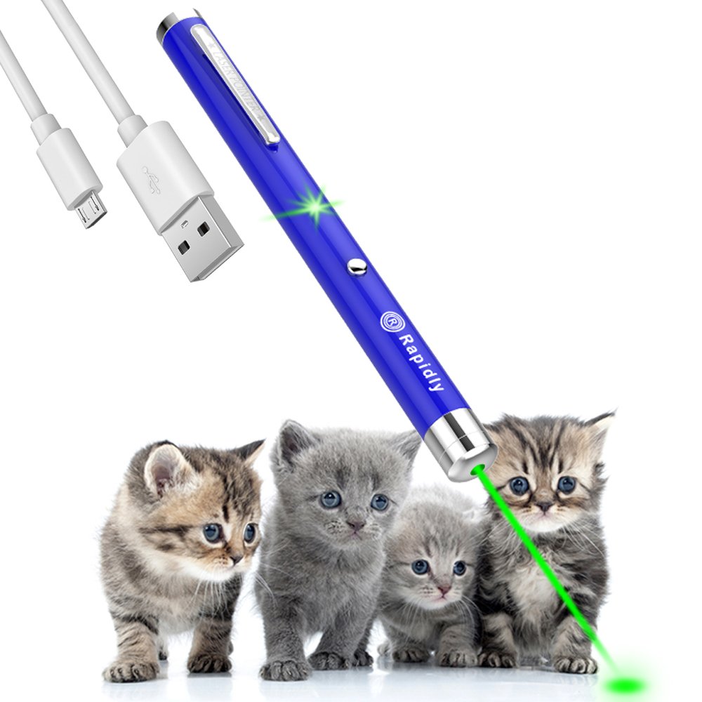 Single Point Laser pen pet cat toy wavelength 532nm, outdoor Tactics