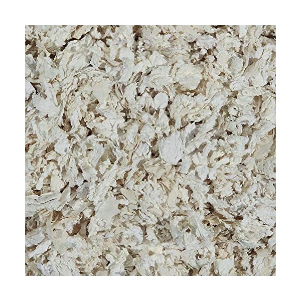 Kaytee Clean & Cozy Super Absorbent Paper Bedding for Cages, Hamster, Gerbil, Mice, Rabbit, Guinea Pig, 49.2 Litre…