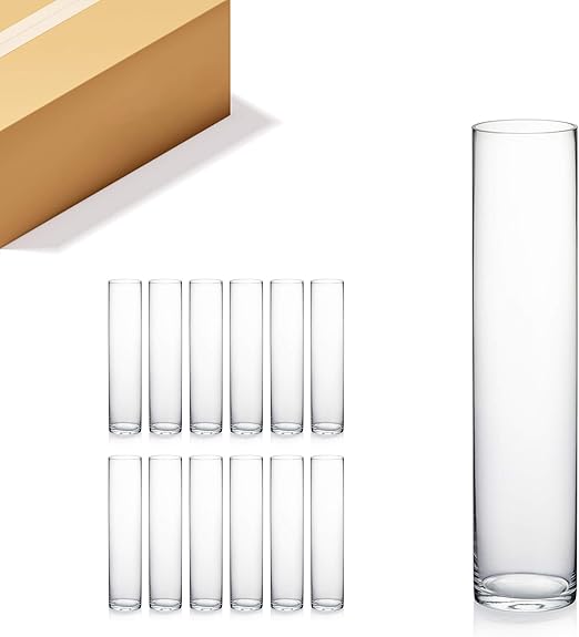 Zahnzusatzversicherung Wgv Erfahrungen - Die Neue Zahnzusatzversicherung Des Münchener Verein Reduziert Ihre Kosten Beim Zahnarzt Und Sie Profitieren Von Einer Erstklassigen.