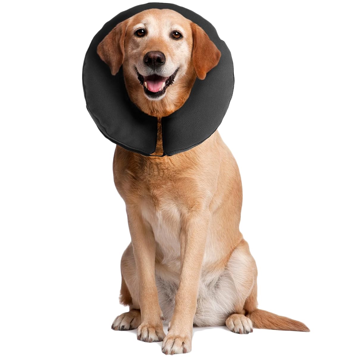 ZenPet Pro Collar Comfy Pet E-Collar For Dogs X-Large