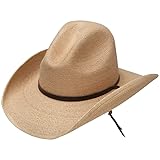 Stetson Men's Standard Bryce Straw