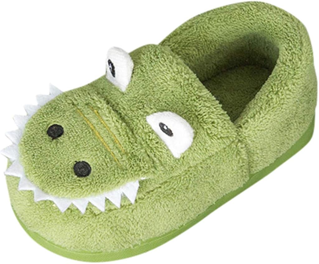 dinosaur slippers infant