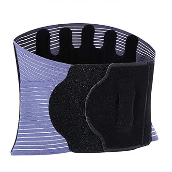 Amazon.com: Cinturón De Apoyo Trasero Soporte De Placa De ...