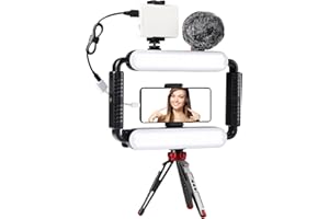 GVM GREAT VIDEO MAKER GVM Gimbal Stabilizer Phone Video Light Kit for Smartphone, Content Creator Kit, 5600K LED Equipment with Microphone &Tripod for Recording, Vlogging, Live Streaming, YouTube, TikTok