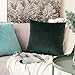 MIULEE Velvet Soft Soild Decorative Square Throw Pillow Cover Cushion Case for Sofa Bedroom Car 24 x 24 Inch 60 x 60 Cm Aqua Green