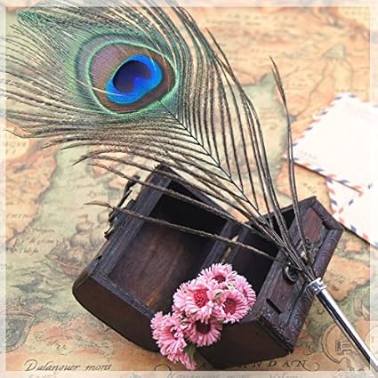 Amazon Ecvision 結婚式羽署名ペン羽飾り ウェディング フェザーペン クジャク 新郎 新婦羽署名ペン デコレーション 羽根ペン 文具 玩具文具 ビンテージ孔雀羽ボールペン洗練されたクイリング ペン クイル ペン ボールペン 水性ボールペン 文房具 オフィス用品