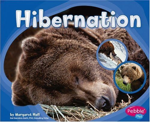 Hibernation (Patterns in Nature) Paperback – September 1, 2006
