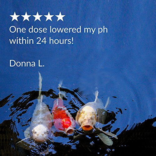 API POND pH DOWN Pond Water pH Reducing Solution 16Ounce Bottle, White