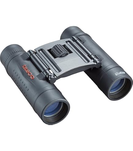 Tasco TAS168125-BRK Essentials Binoculars 10x25 (168125) : Amazon