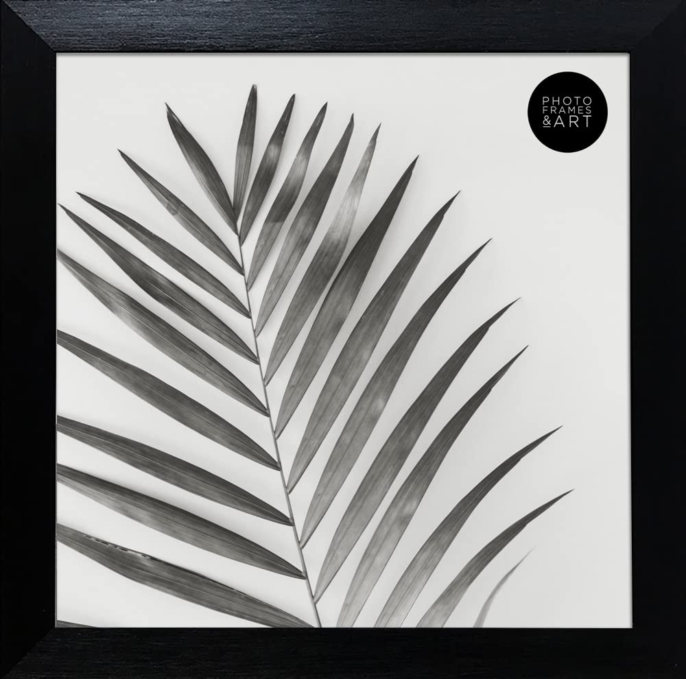 8x8/20x20cm GLASS WINDOW - Square Black Oxford Matt Small Photo Frame. Stand & Wall Hanging. Made In The UK (Width Of Frame 2cm)