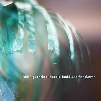 Buy Harold Budd & Robin Guthrie's Another Flower New or Used via Amazon