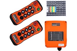 TEELODANE Q600 Industrial Wireless Crane Remote Control kit 6 Button 12v 24v Electric Lift Hoist Overhead Tower Bridge Transmitter Receiver with Emergency Stop… (2 Transmitters + DC12-24V Receiver)