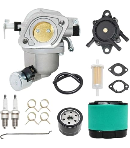 Amazon.com : Carburetor Carb Kit 594207 Replacement For Briggs and