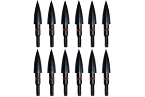GENERIC Field Points arrowheads 100/125/150/200/300 Grains Archery Field Points, Steel Screw in Archery Field Tips and Broadheads (1 Dozen 12 PCS)