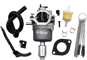 KIPA Carburetor for Brigg & Stratton 794572 791858 792358 793224 697190 698445 594593 498061 499153 690194 791886 799727 with Mounting Gasket & Carbon Dirt Jet Cleaner Tool Kit