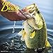 Bass 2018 Calendar