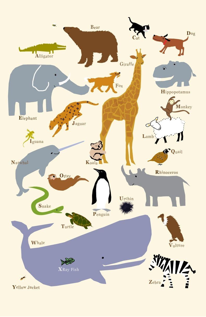 Animal Alphabet Poster 13 x19 Inch poster