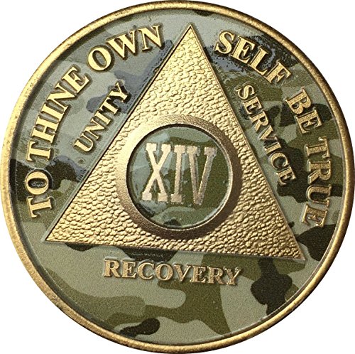 14 Year AA Medallion Camo Gold Plated Anniversary Chip Camouflage Color