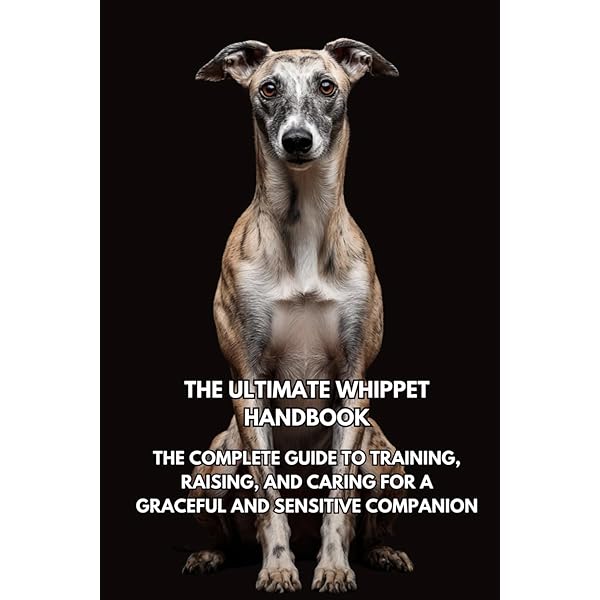 The Whippet: An Authoritative Look at the Breed's Past, Present