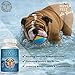 ScruffyPet Pure Omega 3 Wild Fish Oil for Dogs with Vitamin E - Highest EPA & DHA Softgels Available (1000mg) 180ct