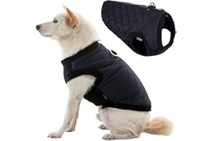 Gooby Fashion Vest Dog Jacket - Black, Large - Warm Zip Up Dog Bomber Vest with Dual D Ring Leash Water Resistant for Small to Medium Dogs