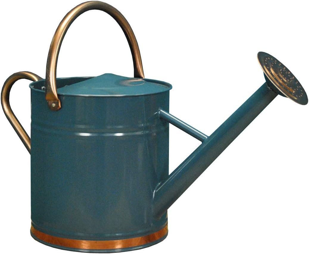 Selections 9 Litre Heritage Blue Copper Metal Watering Can With Rose Amazon Co Uk Garden Outdoors