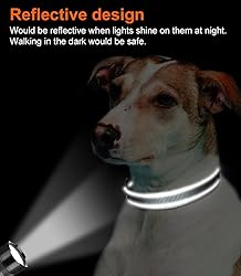 Joytale Reflective Dog Collar,Soft Neoprene Padded