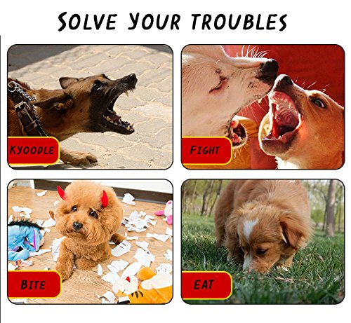 Avivnor 1SET of 5PCS Adjustable Breathable Secure Small Medium Large Extra Dog Muzzle,Black