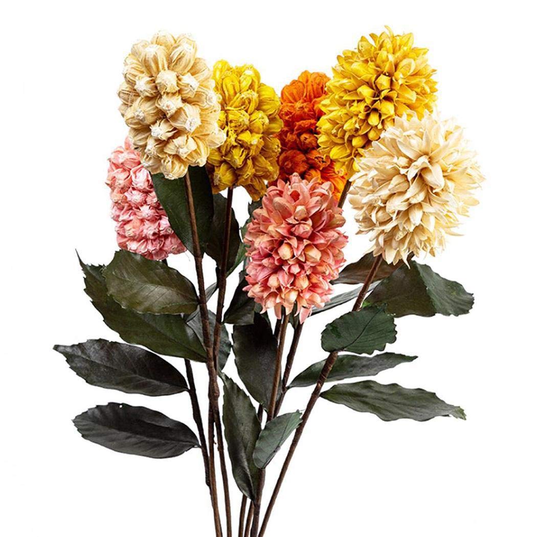 Piokikio Dutch Hyacinth Flower Seeds Home Garden DIY Plants Decoration Flowers