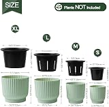 T4U Mini Self Watering Plant Pots Indoor 6 Pack 10cm Green Plastic Pots view 3