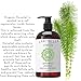 Laritelle Organic Shampoo 17.5 oz | Organic Quinoa + Keratin + Follicle Stimulating Rosemary, Ginger & Grapefruit | Hair Loss Prevention, Clarifying, Softening, Strengthening | NO GMO. Vegan