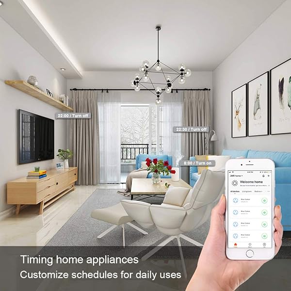 Zhuohong Mando a distancia inalmbrico WiFi Smart Plug WiFi hembra mini enchufe mando a distancia control de energa funcin de temporizador enchufe de la UE