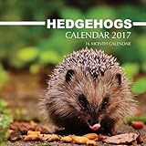 Image de Hedgehogs Calendar 2017: 16 Month Calendar
