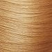John Frieda Precision Foam Colour, Light Ash Blonde 9A