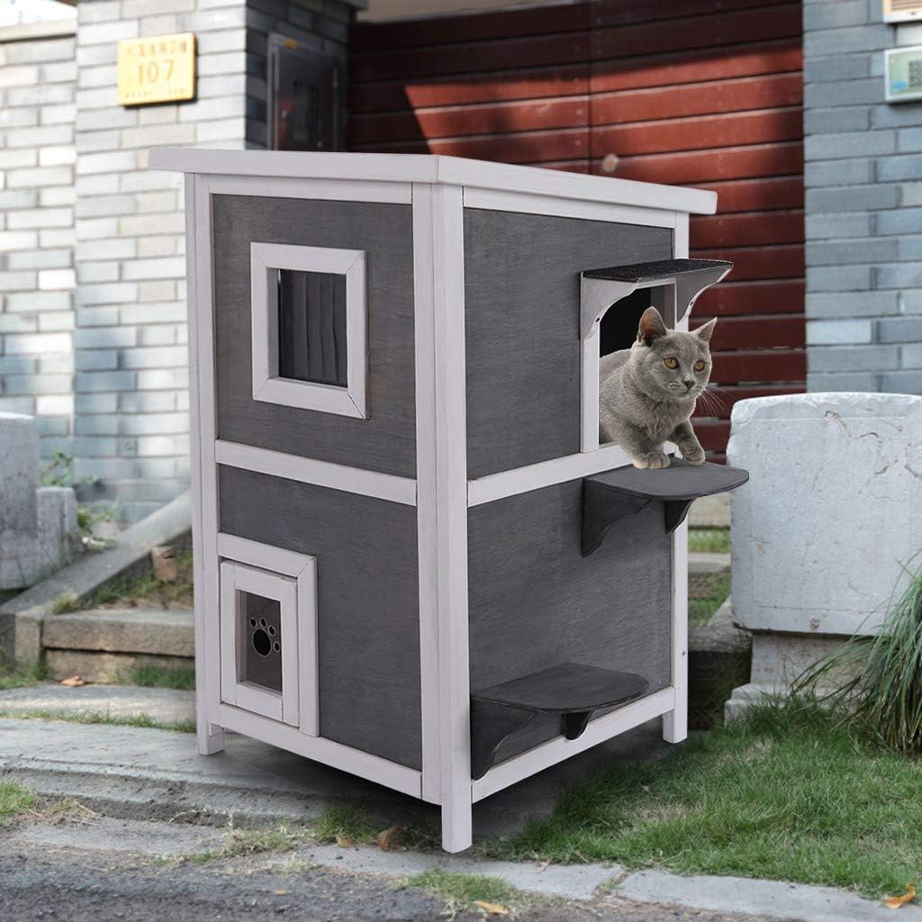 cat stairs for window